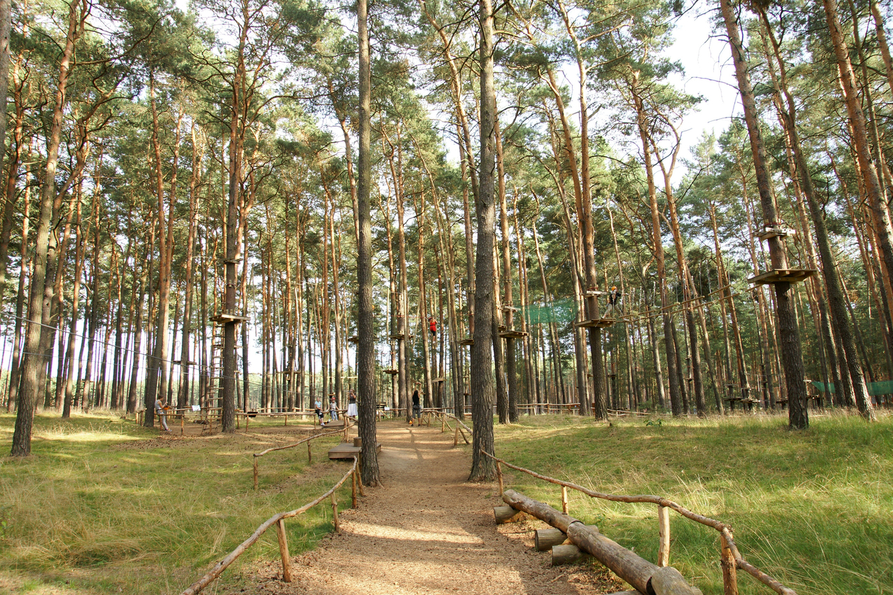 Go Ape